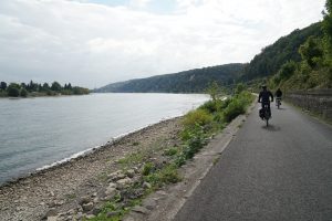 Radweg entlang des Rheins